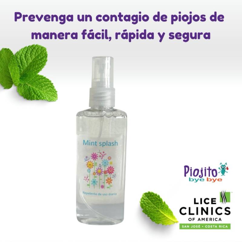 Mint Splash Mint Splash - Imagen 1